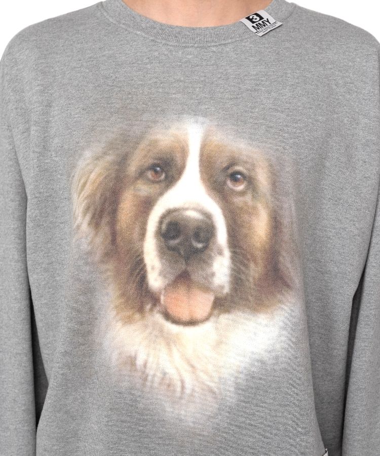 Dog Printed Sweatshirt