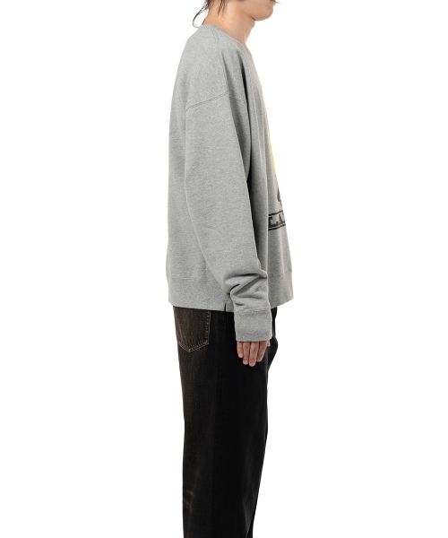 LARRY Printed Pullover Sweatshirt