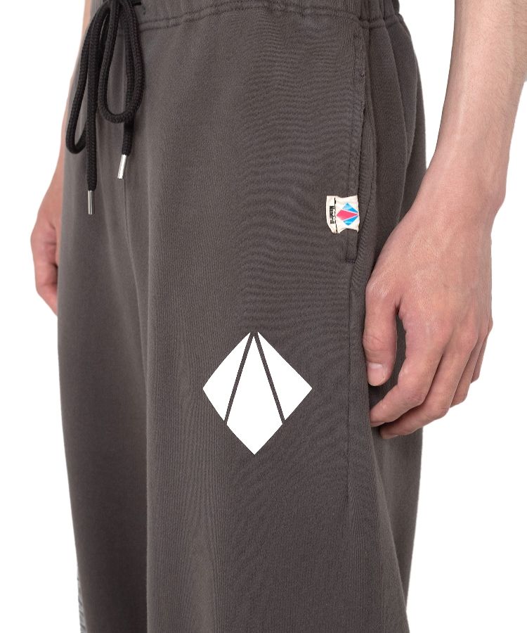 Mendrill X GS. Distressed Pants