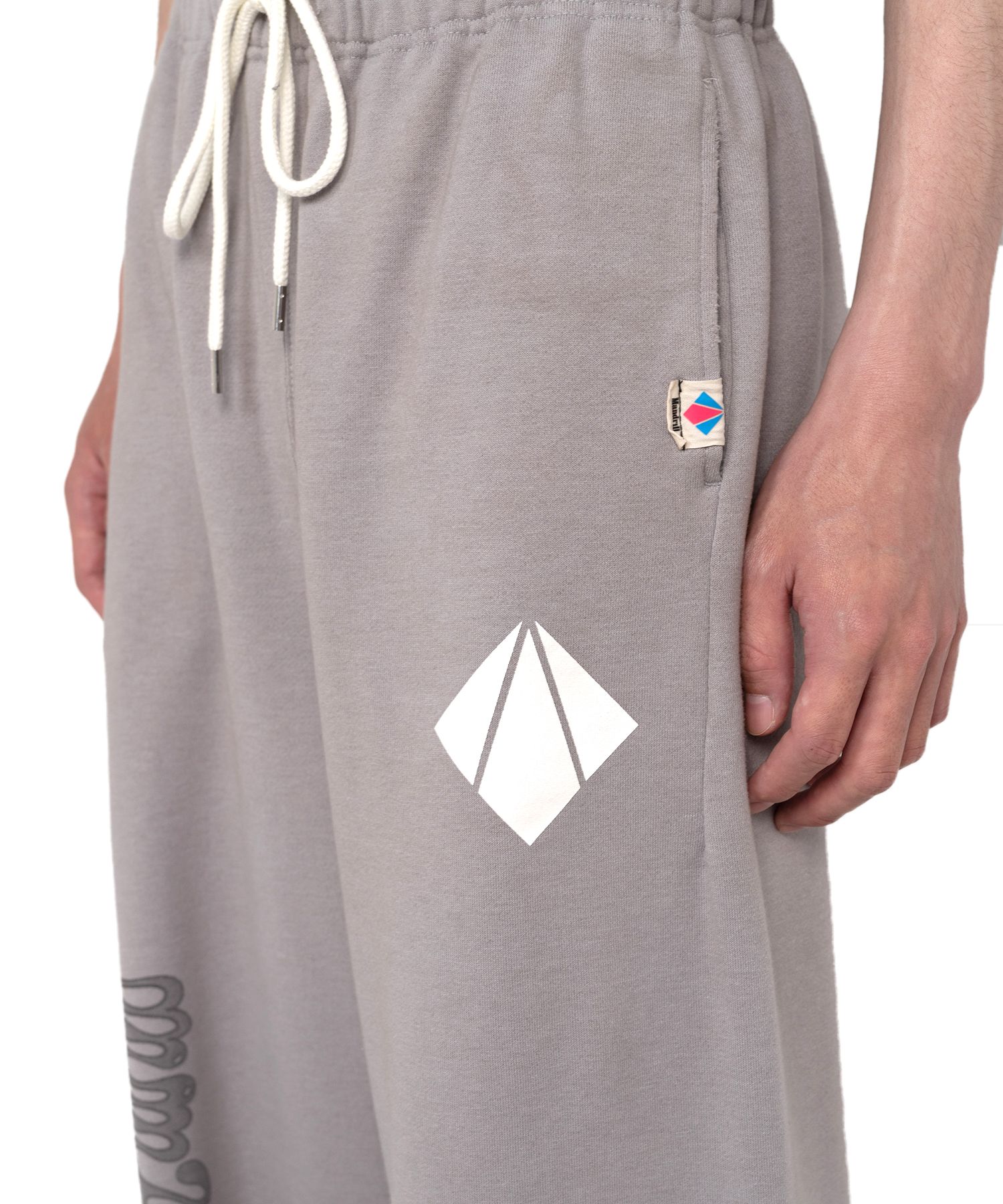 Mendrill X GS. Distressed Pants