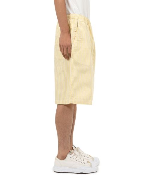 Stripe Oxford Shorts