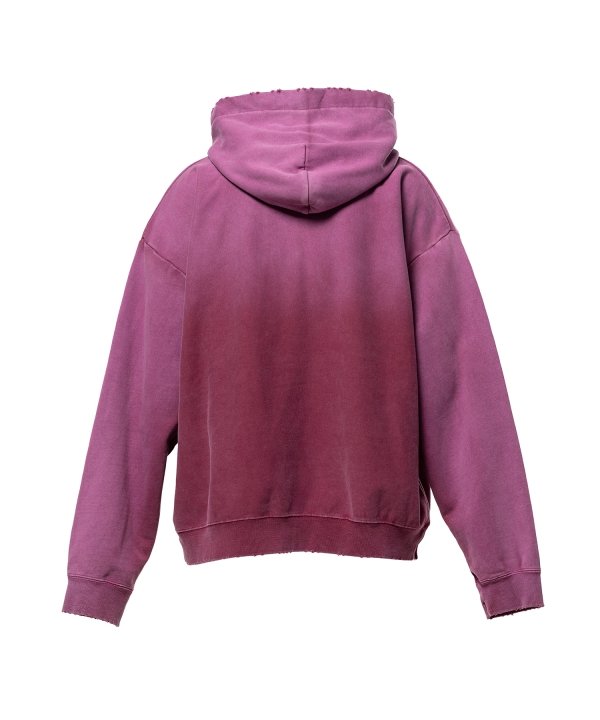 Sun Faded Like Distressed Hoodie