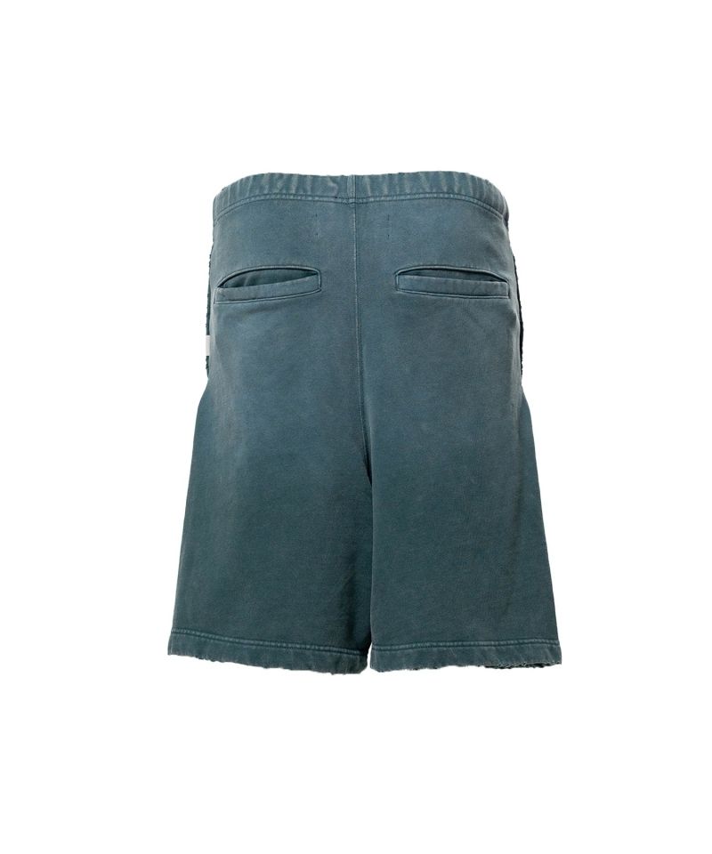 Sun Faded Like Distressed Shorts