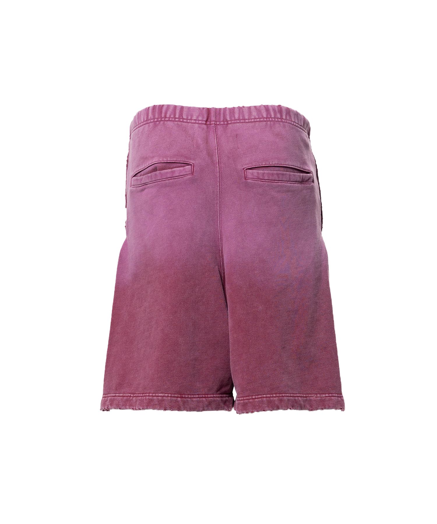 Sun Faded Like Distressed Shorts