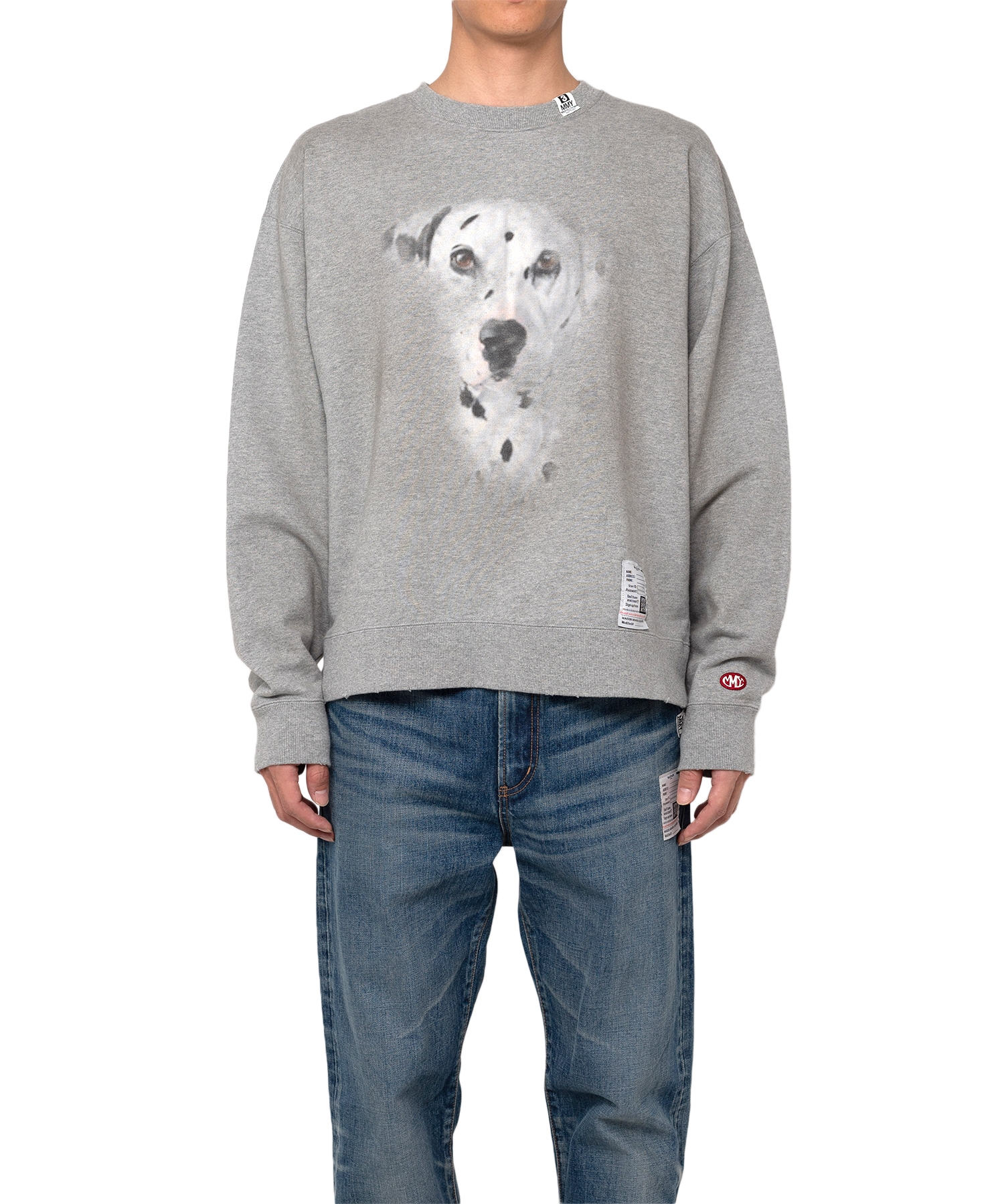 Distressed Dog Printed Sweatshirt