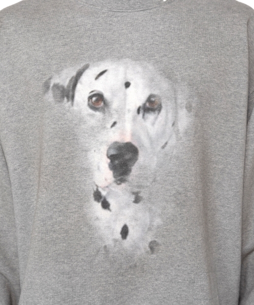 Distressed Dog Printed Sweatshirt