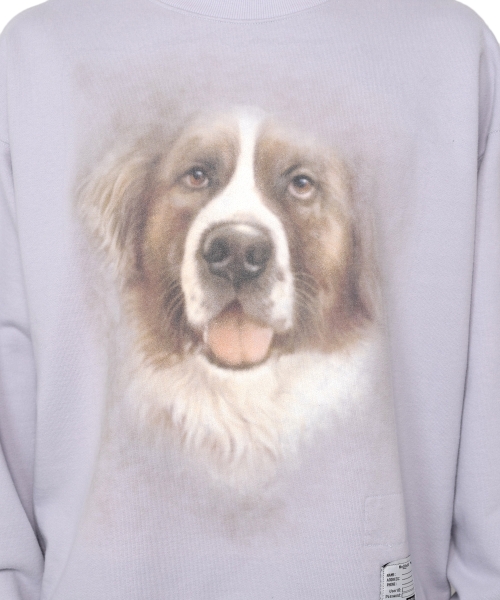 Distressed Dog Printed Sweatshirt