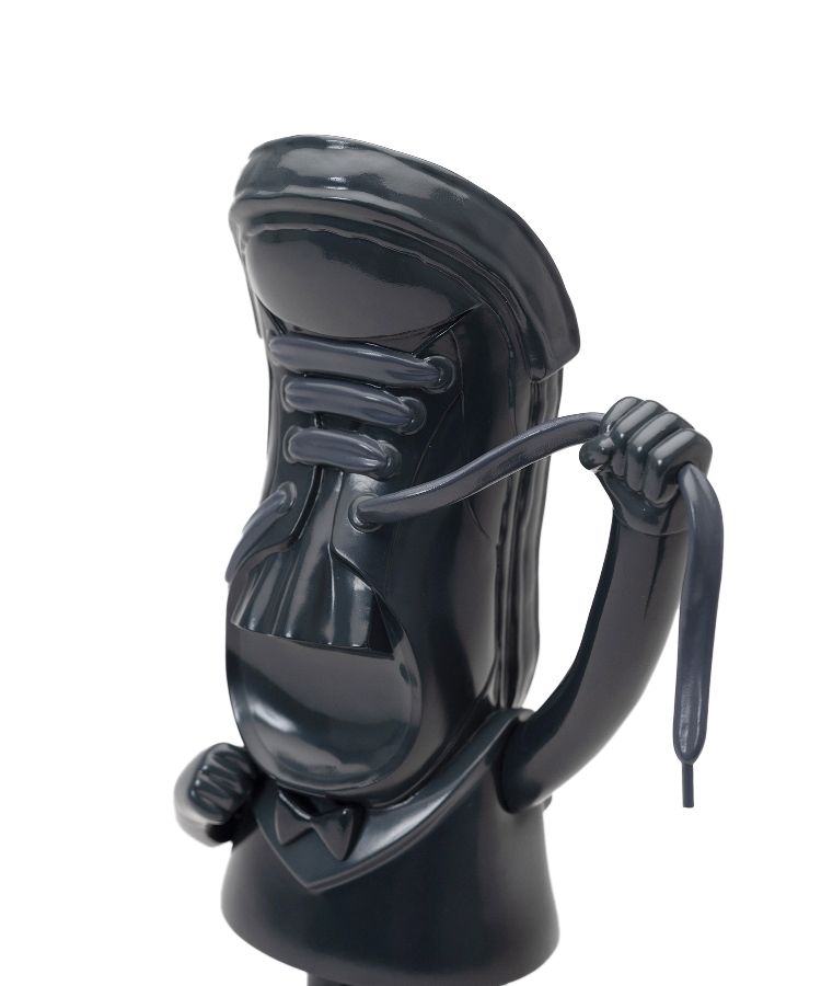 VCD 靴ひも結べなくん